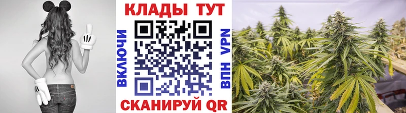 Названия наркотиков Владикавказ Cocaine  Codein  Меф мяу мяу  Альфа ПВП 