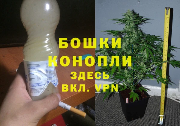 дмт Россошь