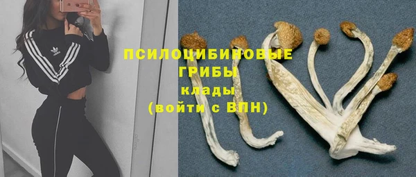 амф Володарск